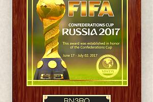 "FIFA Confederations Cup. Russia 2017"
