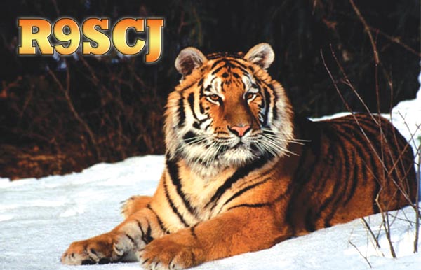 R9SCJ