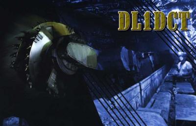 DL1DCT