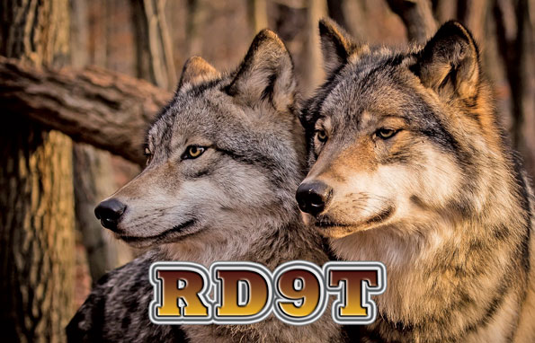 RD9T