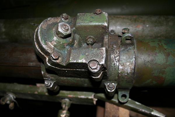 Прочее Что за зверь Тощая мы дали её имя