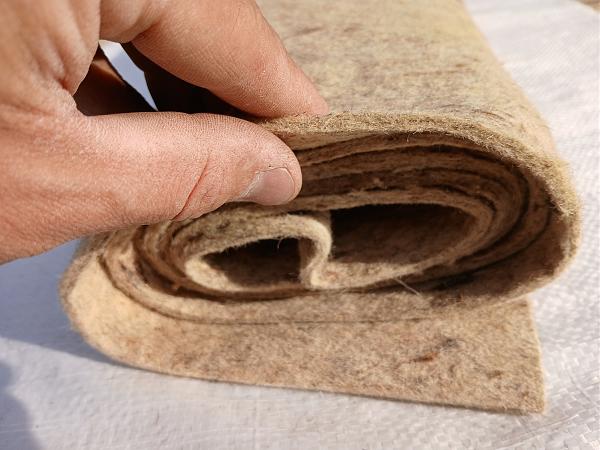 Продам Тонкошерстный