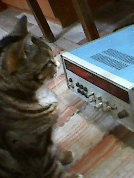 Продам частотомер ч3-68