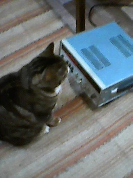 Продам частотомер ч3-68