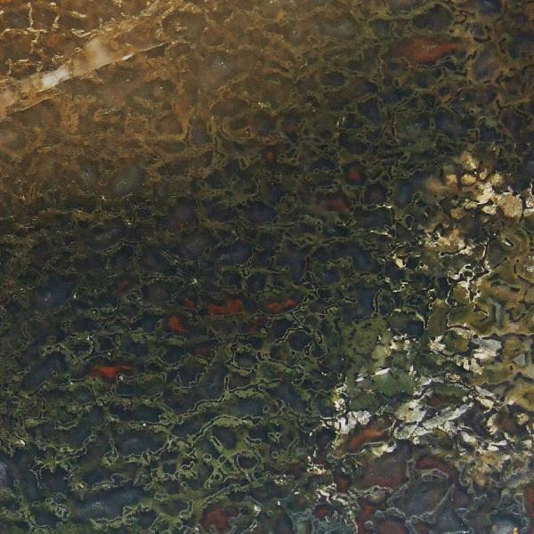 Продам Динозавр