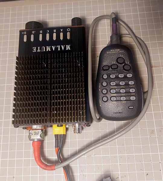 Продам Malamute mini MII