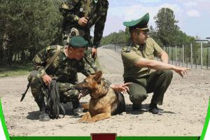 День пограничника - 2017