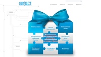 Чип Селект